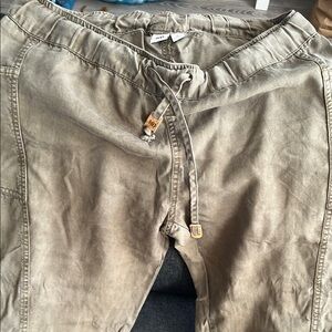 tentree Tan Sweatpants with Drawstring Waistband